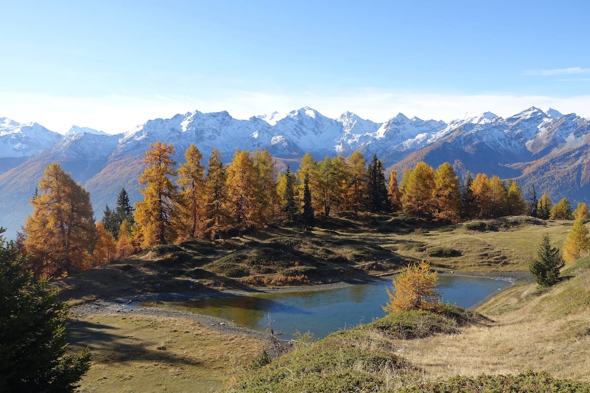 Lire la suite à propos de l’article Punta Fetita 2623m