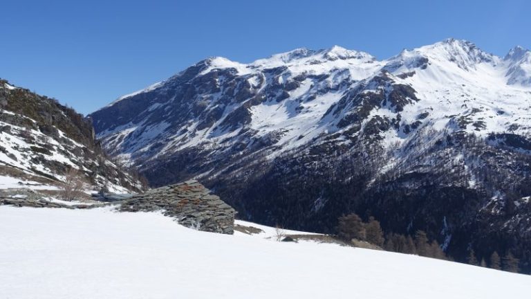 Lire la suite à propos de l’article Arpe vieille