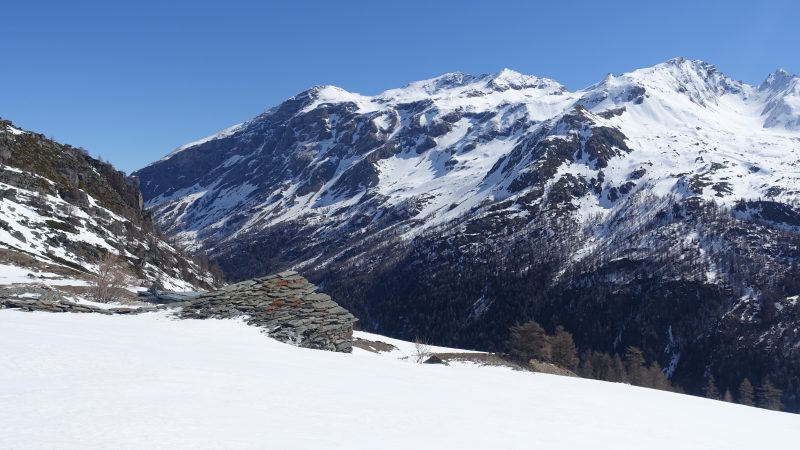 Lire la suite à propos de l’article Arpe vieille