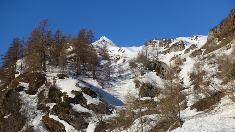 Lire la suite à propos de l’article Chateau Blanc