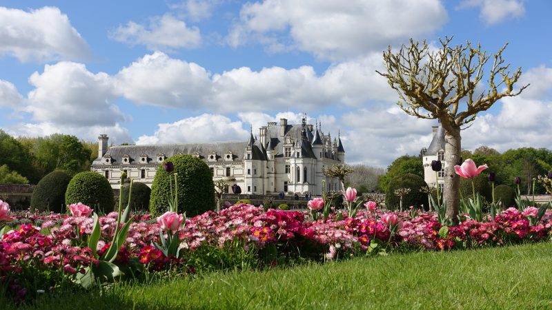 Lire la suite à propos de l’article Amboise 2016