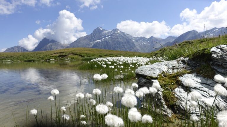 Lire la suite à propos de l’article Lac Djouan