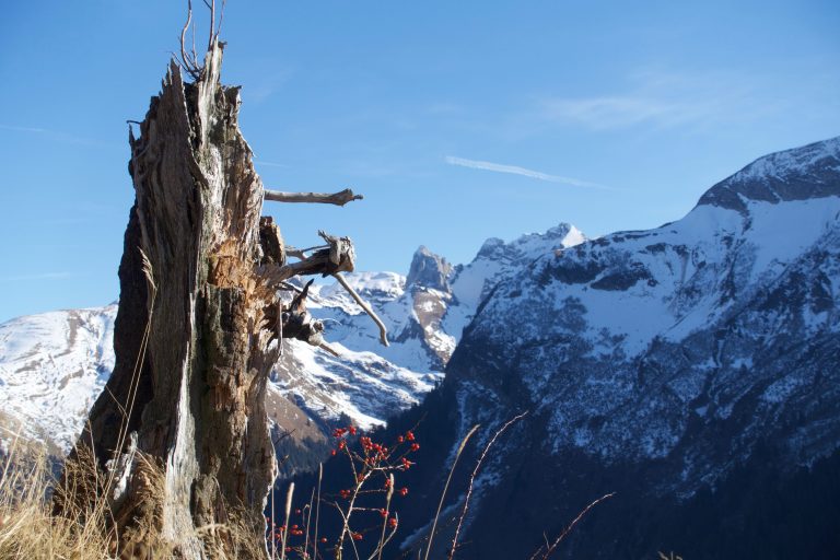 Lire la suite à propos de l’article Grotte de Montarquis