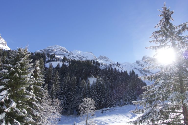 Lire la suite à propos de l’article Combe Marto