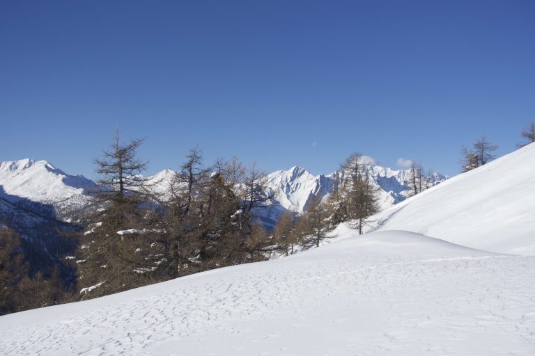 Lire la suite à propos de l’article Etincelles au Mont Saron