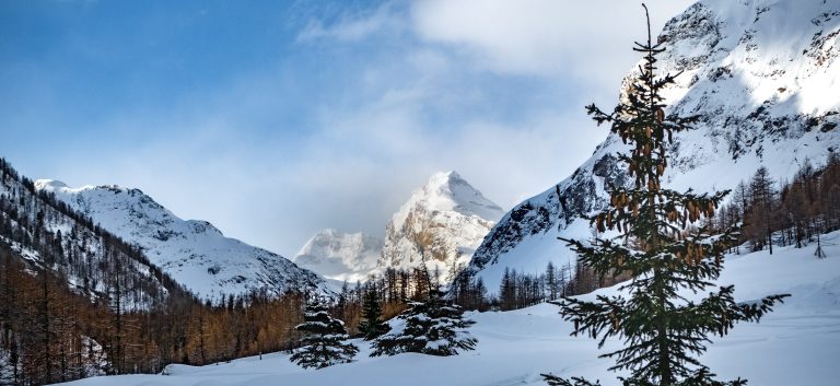Lire la suite à propos de l’article Cima di Entrelor 13 mars 2018