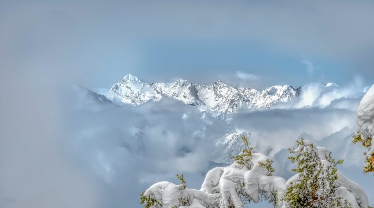 Lire la suite à propos de l’article Chantel