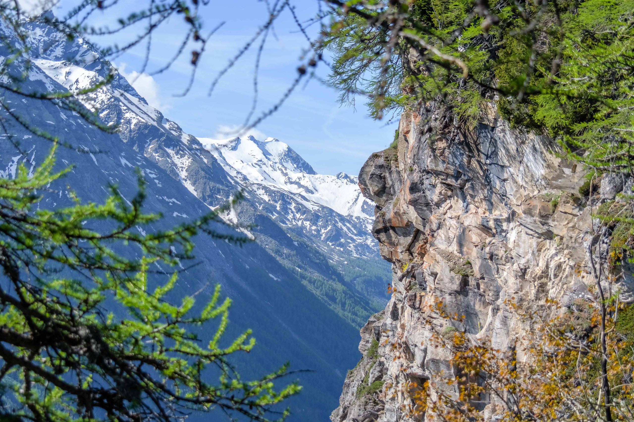 Lire la suite à propos de l’article Mont de l&rsquo;Âne