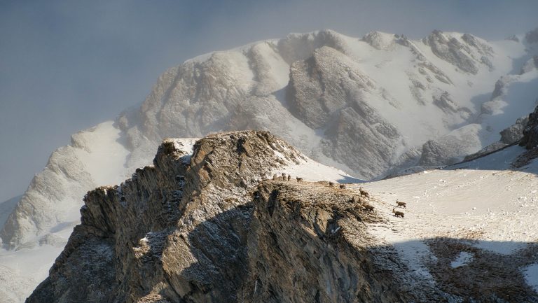 Lire la suite à propos de l’article Mont Tapie 3014m