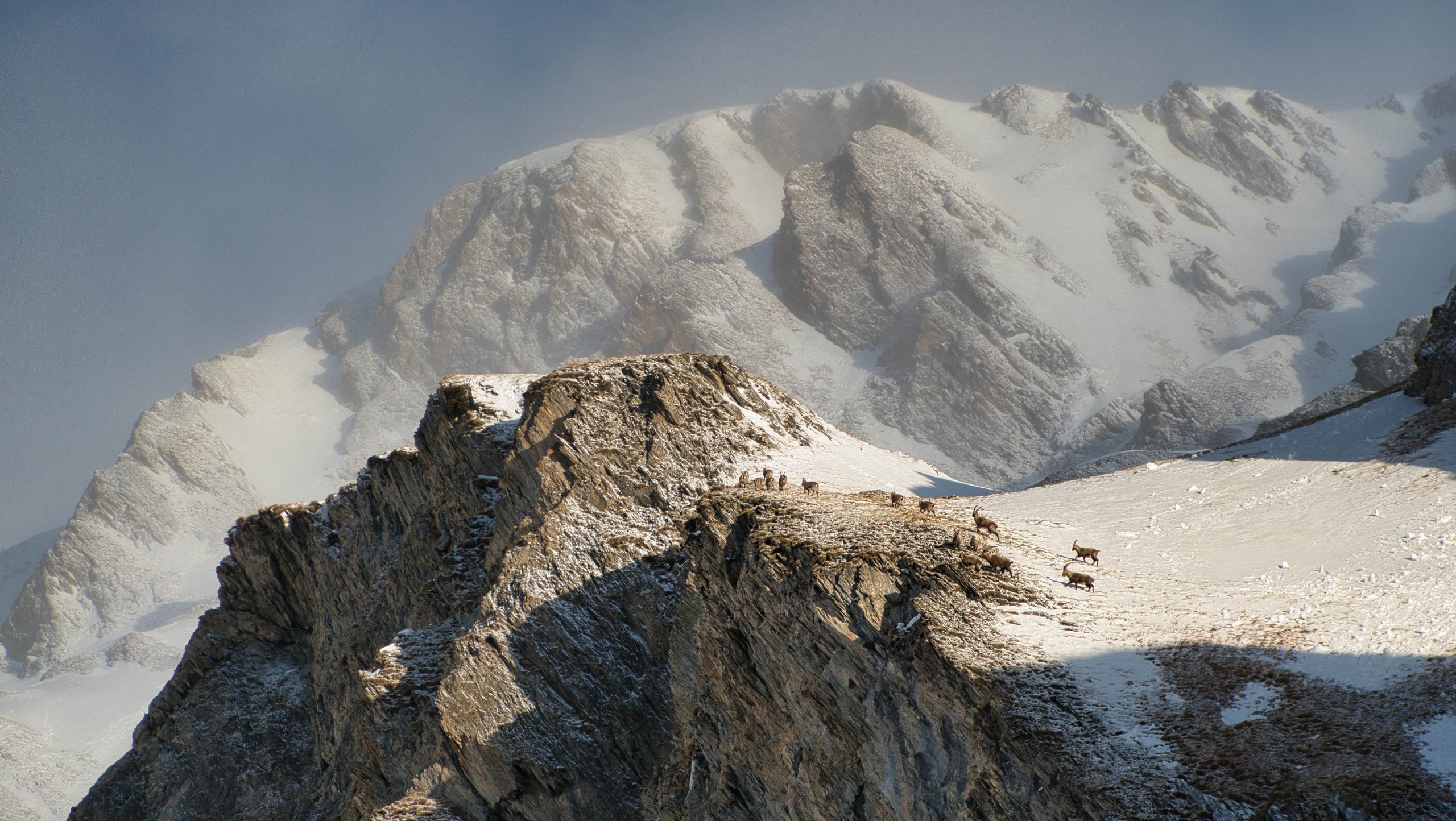 Lire la suite à propos de l’article Mont Tapie 3014m