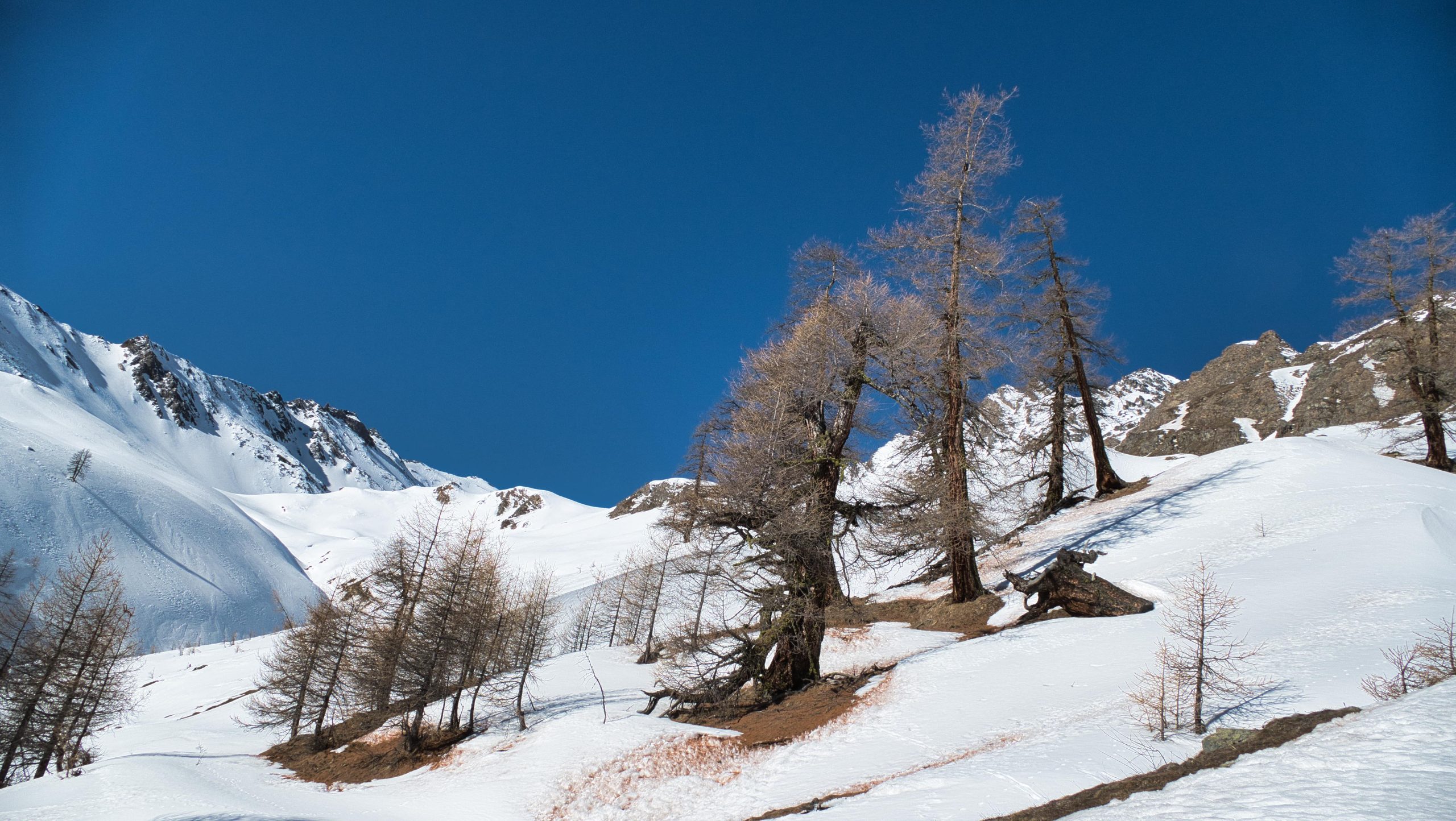 Lire la suite à propos de l’article Col d&rsquo;Entrelor (vallon de Nampio)