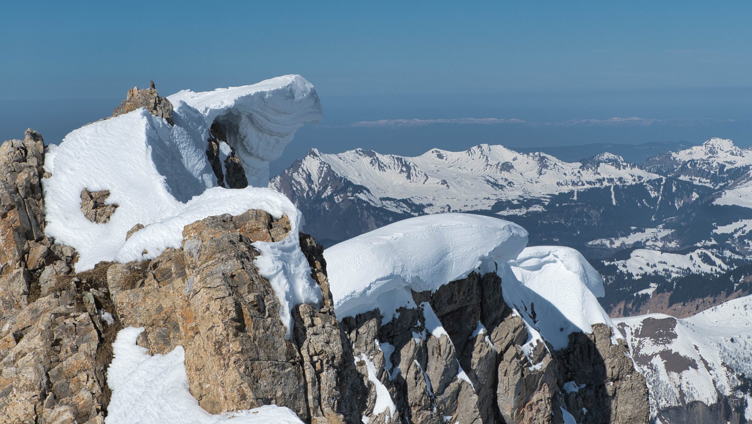 Lire la suite à propos de l’article Pointe Rousse du Criou 2577m