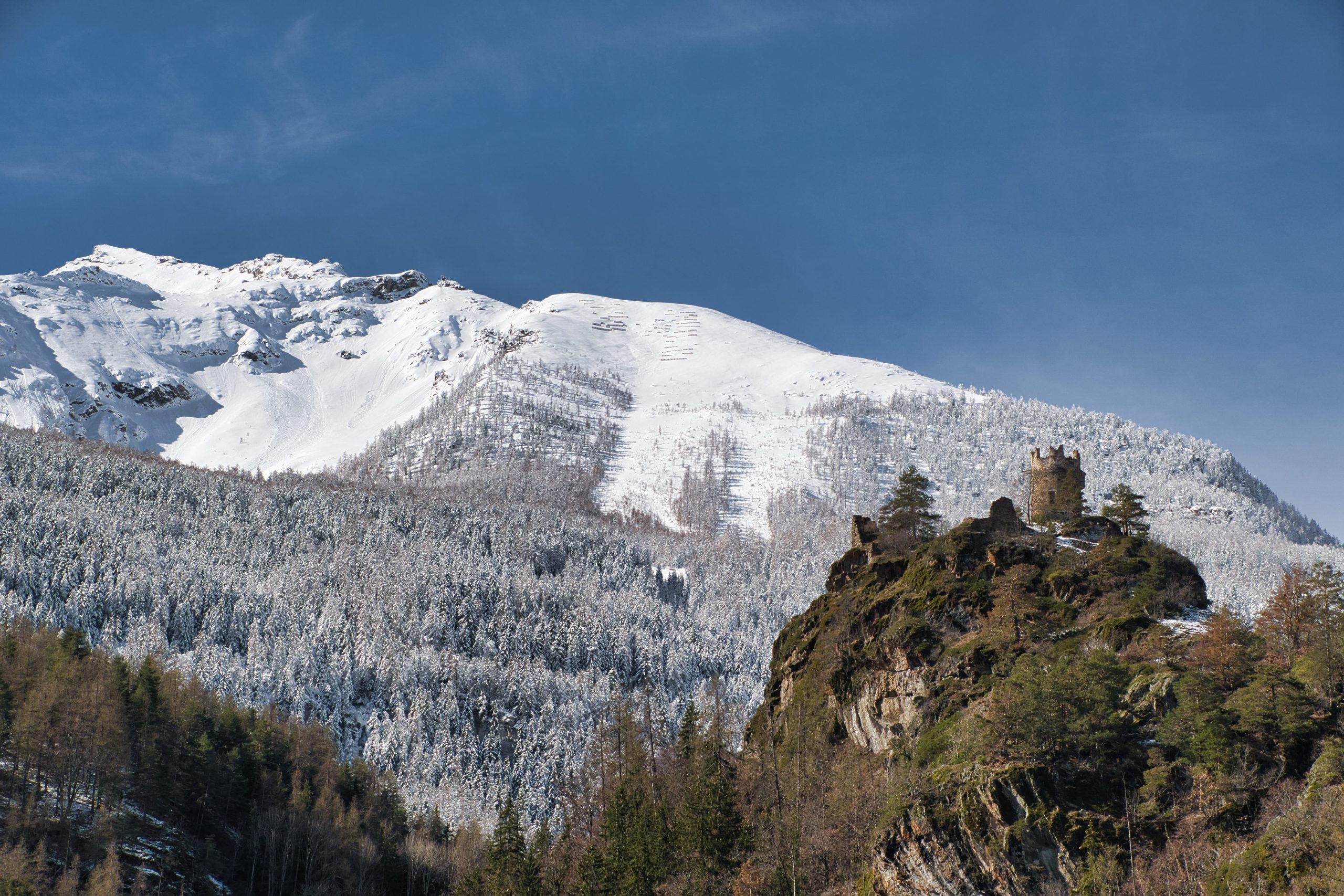 Lire la suite à propos de l’article Le Printemps à Arpe Vieille