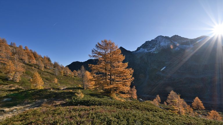 Lire la suite à propos de l’article Punta Croce