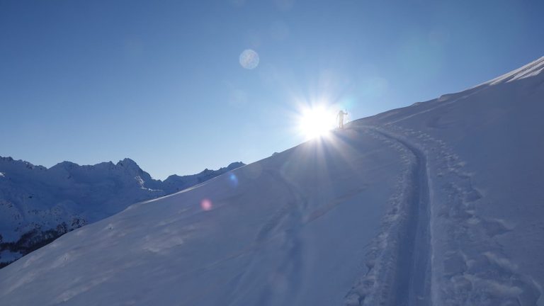 Lire la suite à propos de l’article Arpe vieille 4 décembre 2019