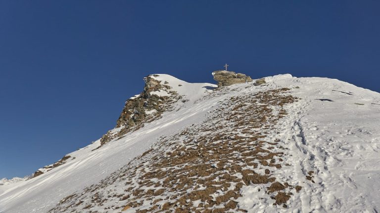 testa di frà