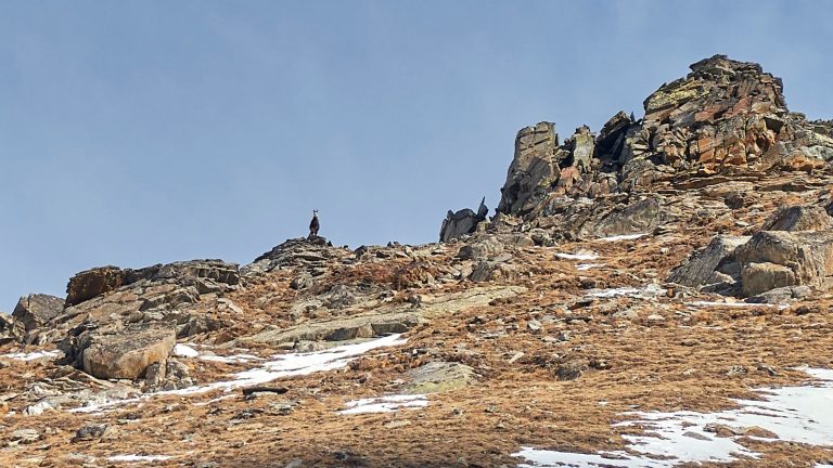 Lire la suite à propos de l’article Le vallon enigmatique