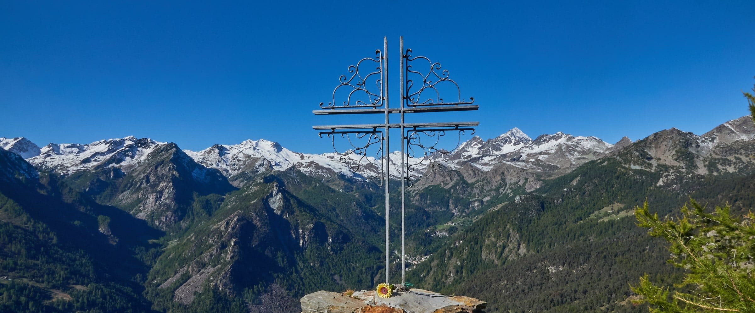 tête du Mont vallée d'Aoste