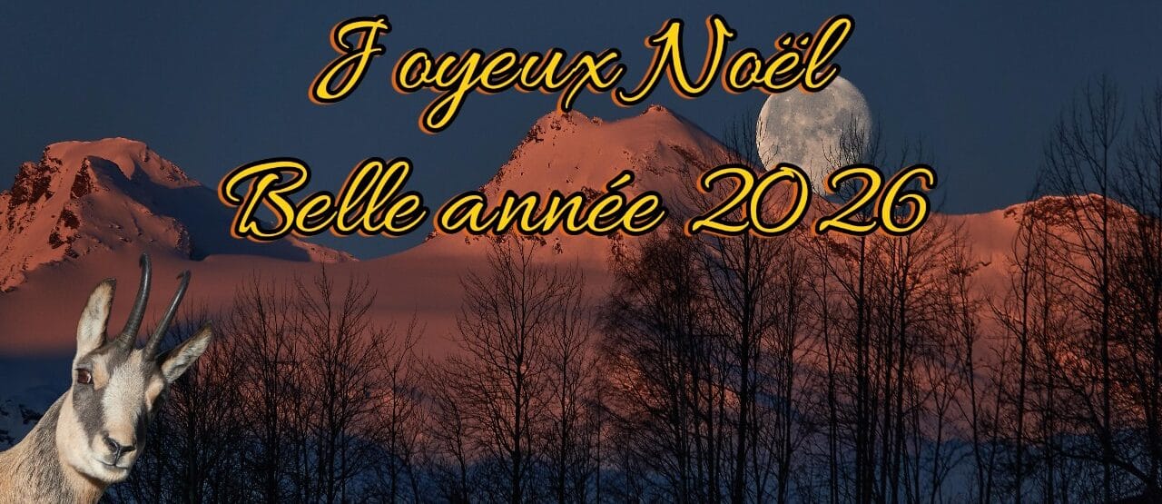 joyeux noel